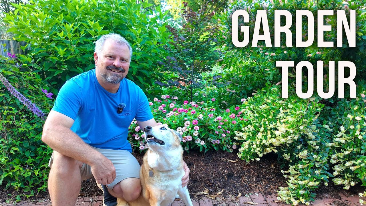 Full Detailed Small Garden Tour - 100's of Plants - P3