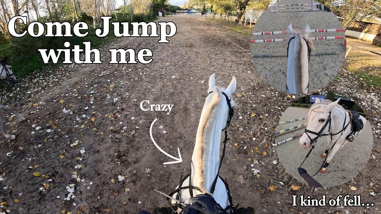 Come jump with me! *very chaotic* 