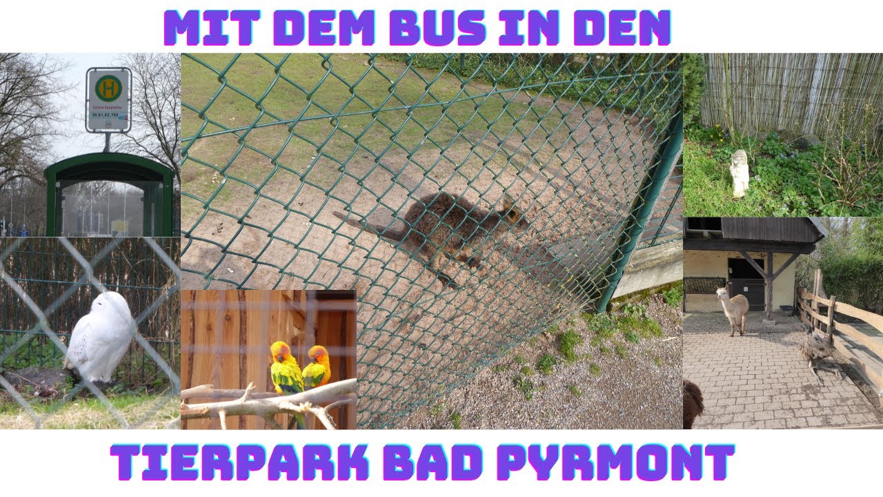 Mit dem Bus in den Tierpark Bad Pyrmont - 19.03.2024