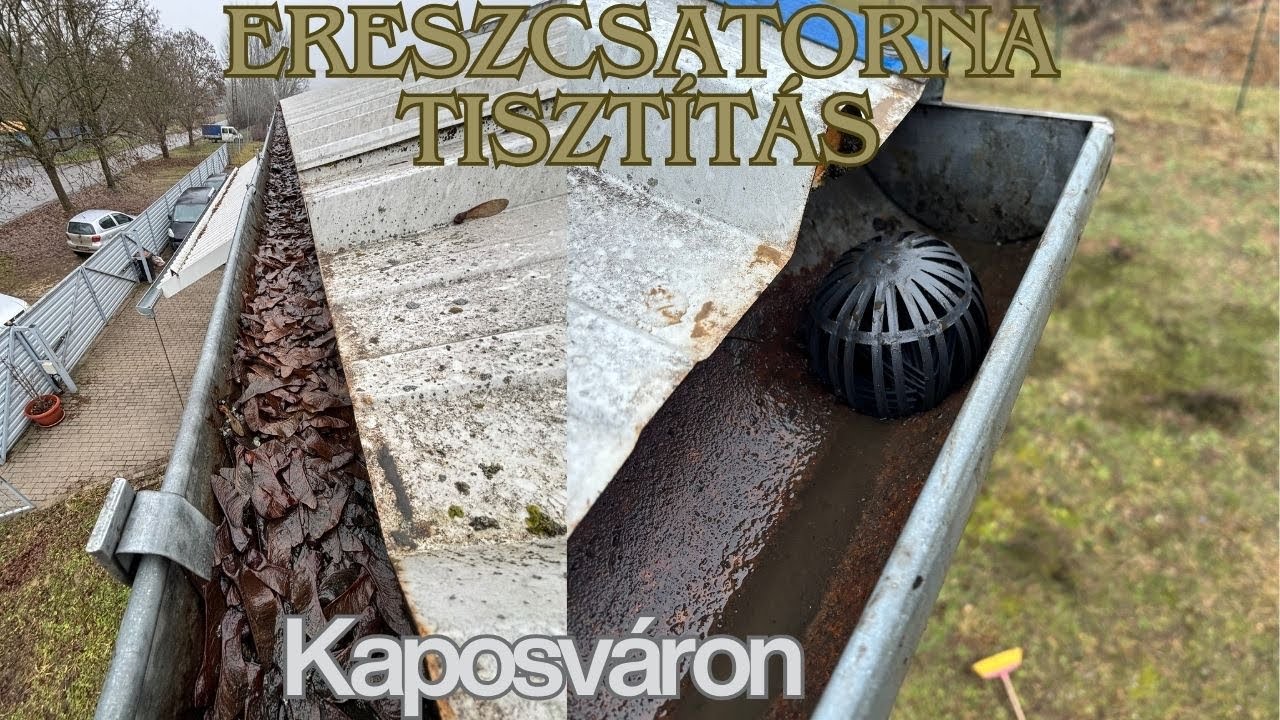 Az idei első ereszcsatorna-tisztítás – avagy mi minden lakik a tetődön?