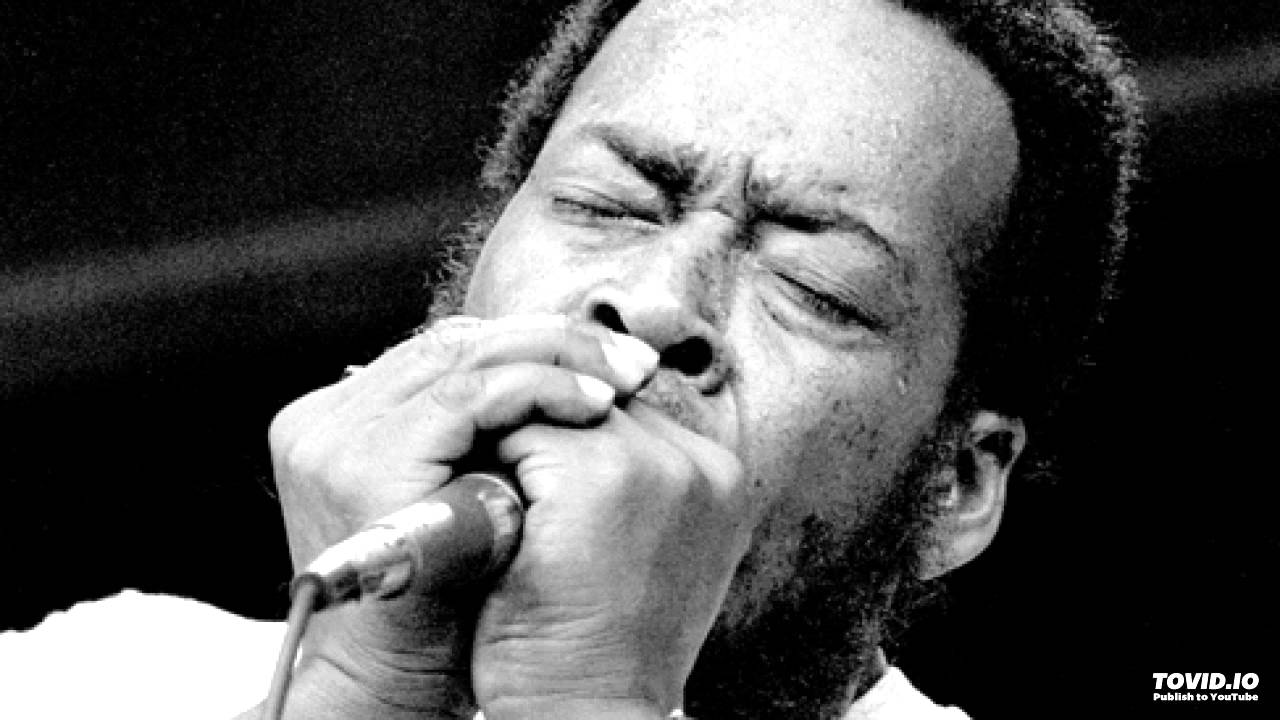 JAMES COTTON - Mother In Law Blues [LIVE 1967]