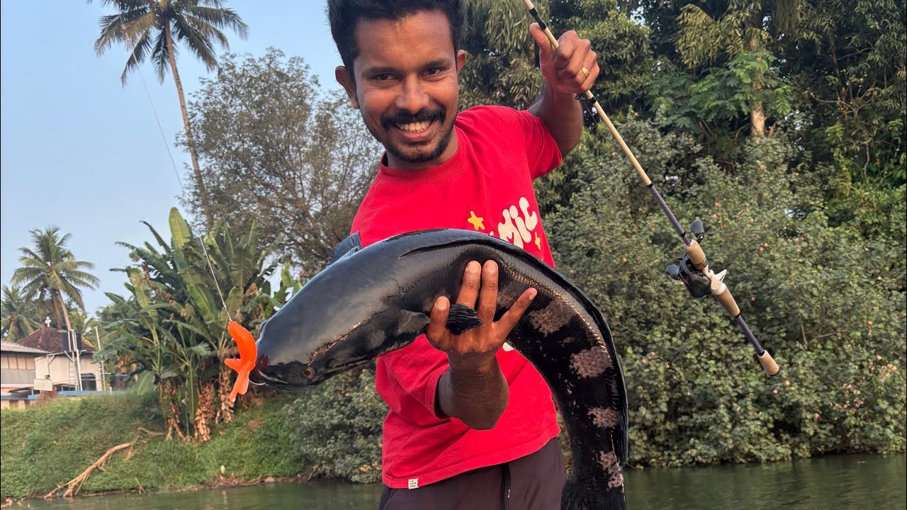 പിള്ളേരുടെ സന്തോഷം  കണ്ടോ!  കിട്ടിയ മീനെ പിള്ളേർക്ക് കൊടുക്കണോ? #fishing 😍