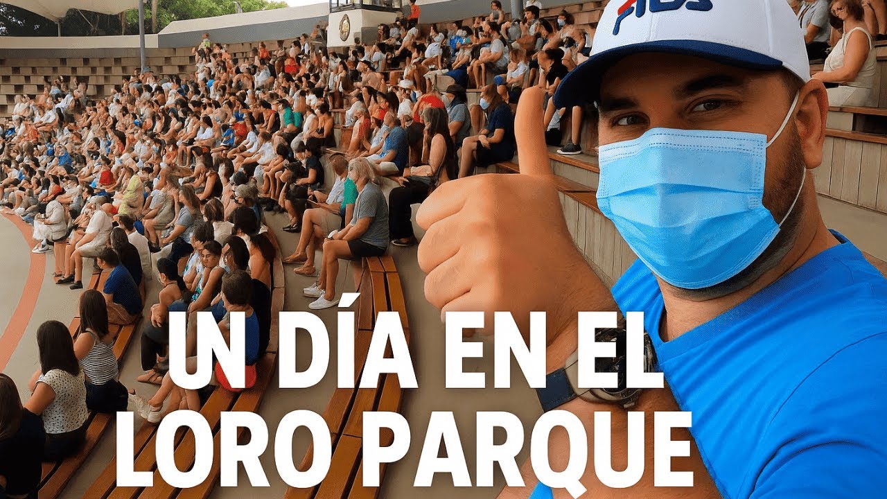 Un día en el Loro Parque 🐬🦜🐧 | La experiencia más divertida en Tenerife