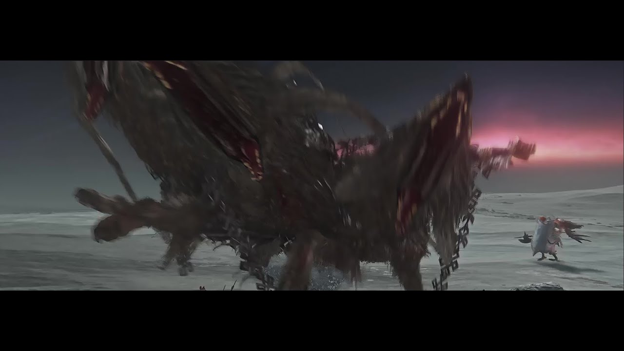 What the dog doing? [Tricephalos - Everdark Sovereign] [Eldenring Nightreign]