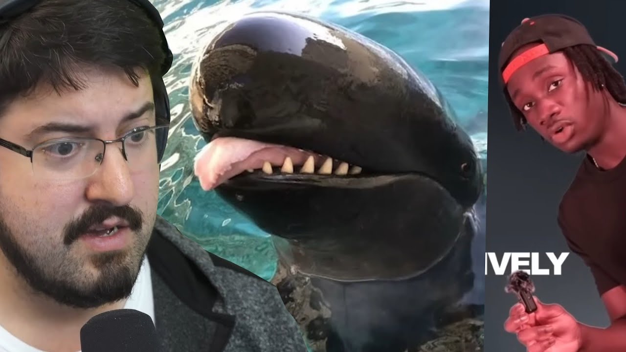 Whales Political Drama [Casual Geographic]