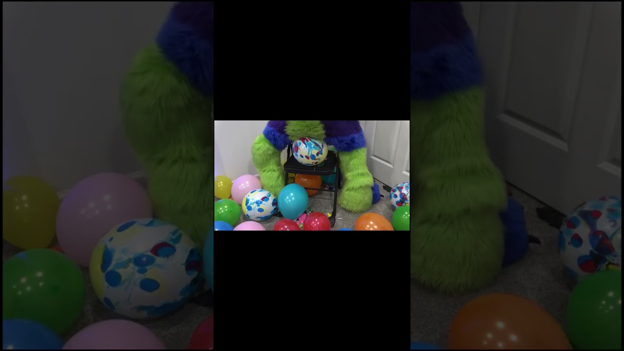 Furrsuit looner balloon sit to pop (reuploaded) #fursuit #furry #sittopop #balloonpopping