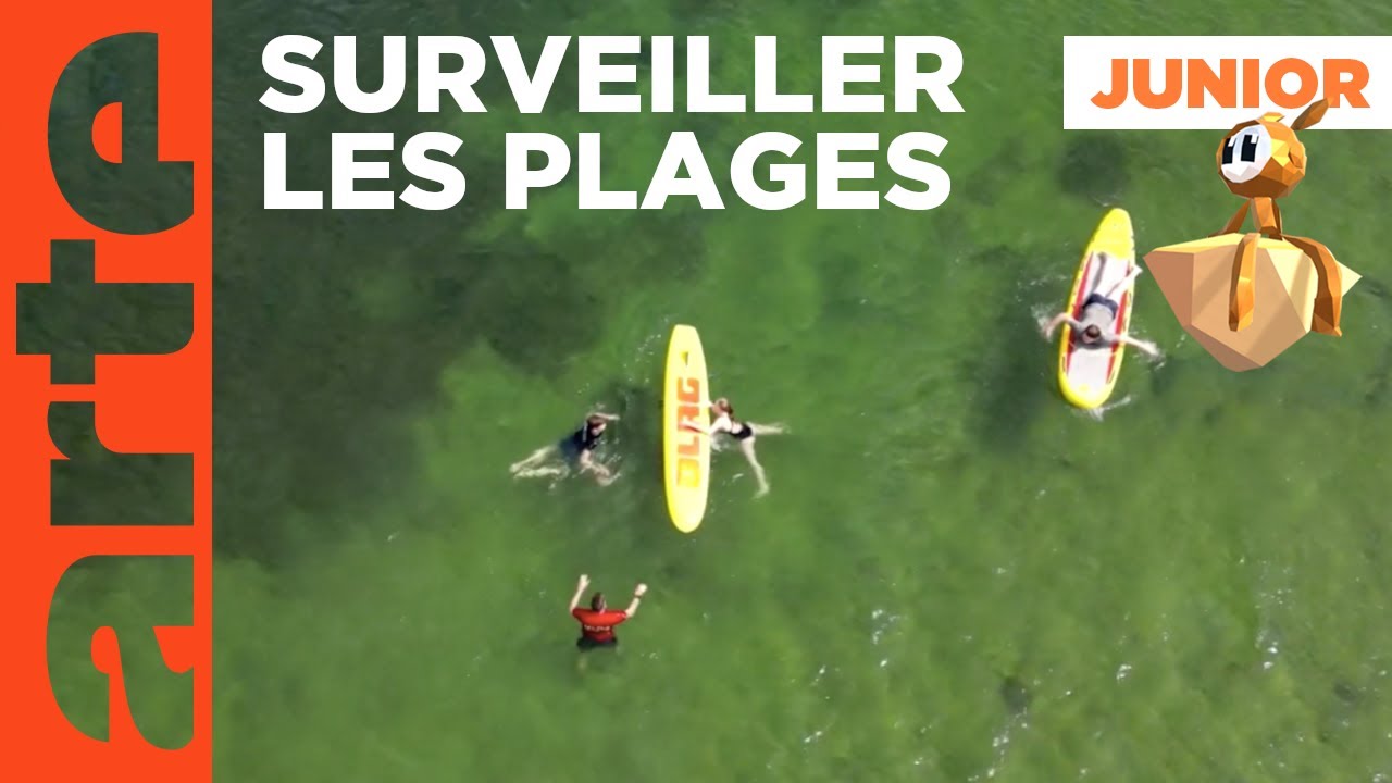 L'enseignement du sauvetage en mer | Junior | ARTE Family