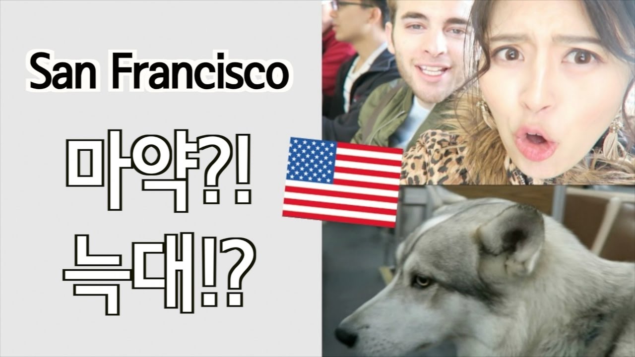 [아리스커플] 샌프란시스코 식당엔 마약이? 버스엔 늑대가! #신혼여행 #미국