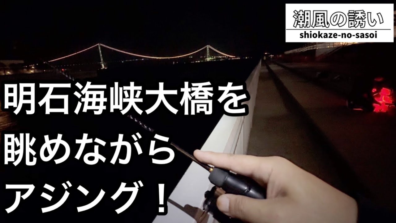 【アジング】近所の海へとアジング調査！アジは居るのか…