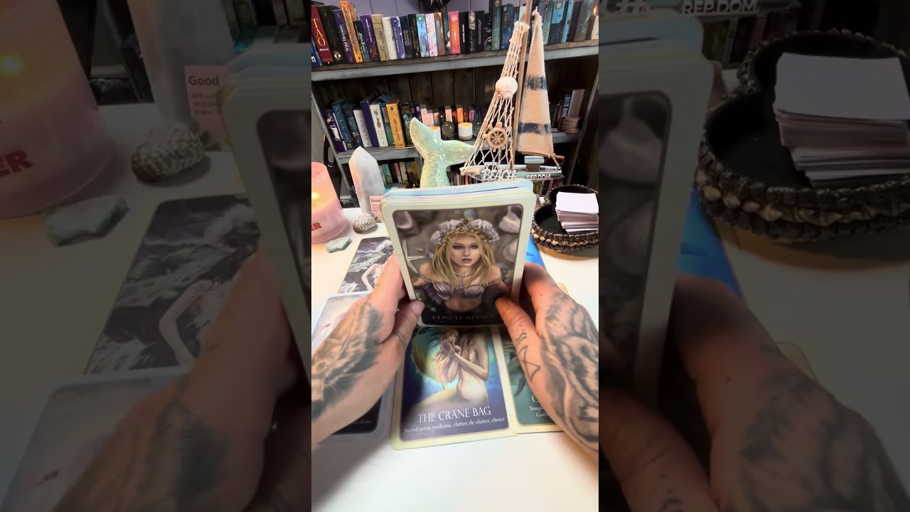 Mermaid 🧜🏻‍♀️ Numberology Reading 6️⃣6️⃣6️⃣