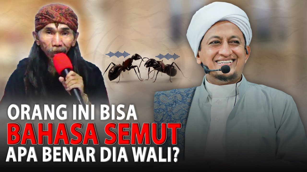 Bisa Bicara Dengan Semut Pasti Wali? - Habib Hasan Bin Ismail Al Muhdor