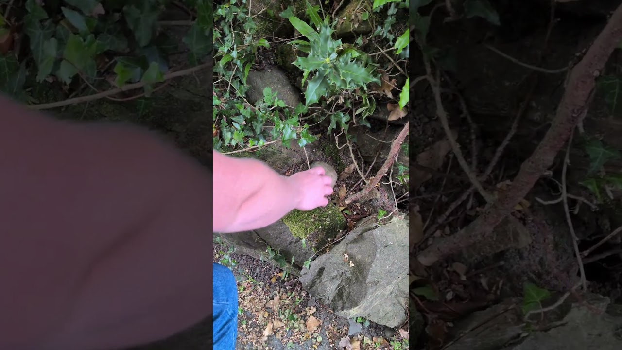 CAN YOU FIND THE GEOCACHE / Geocache adventures #geocaching #geocache