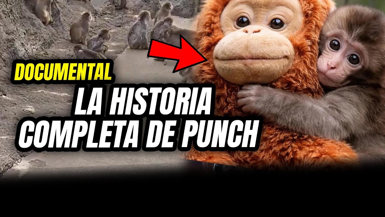 PUNCH EL MONITO: LA HISTORIA COMPLETA JAM&Aacute;S CONTADA