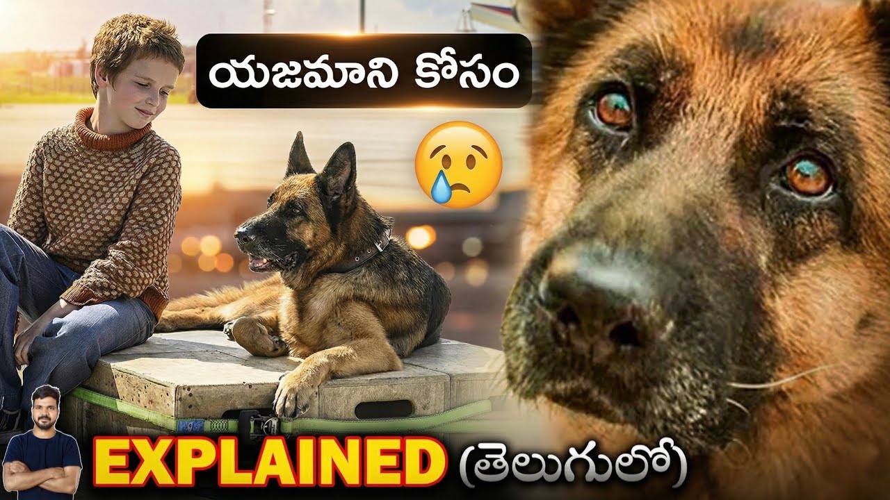 తన ఓనర్ కోసం ఈ కుక్క పడ్డ కష్టం చూస్తే ఏడుపు ఆగదు | Movie Explained in Telugu | BTR Creations
