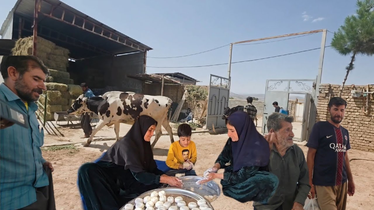 They decided to buy a cow again! Mohammad made a big and risky decision for the family's future.