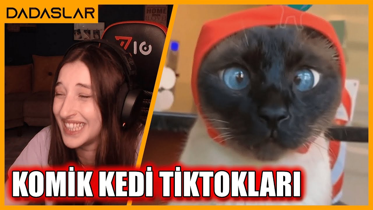 Pqueen - Komik Kedi TikTokları İzliyor !