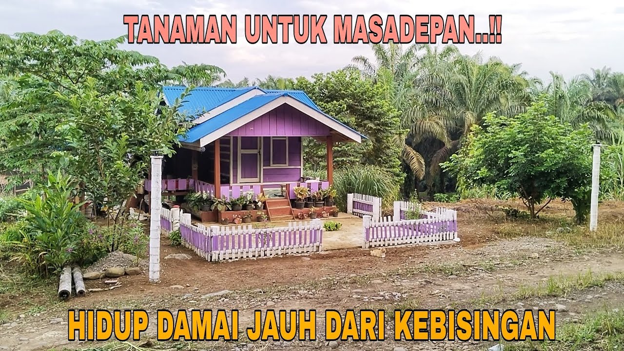 MENANAM TANAMAN UNTUK MASADEPAN..!! HIDUP DAMAI JAUH DARI KEBISINGAN