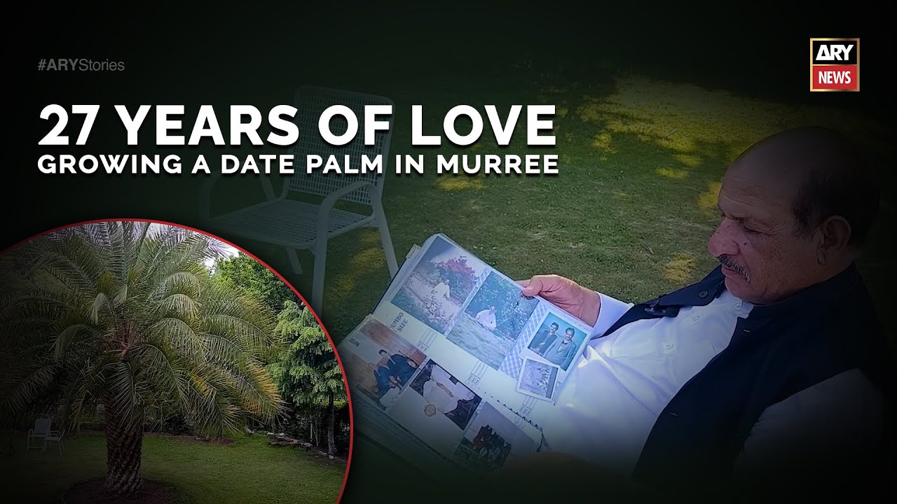 27 Years of Love: Growing a Date Palm in Murree | Stories of YOU