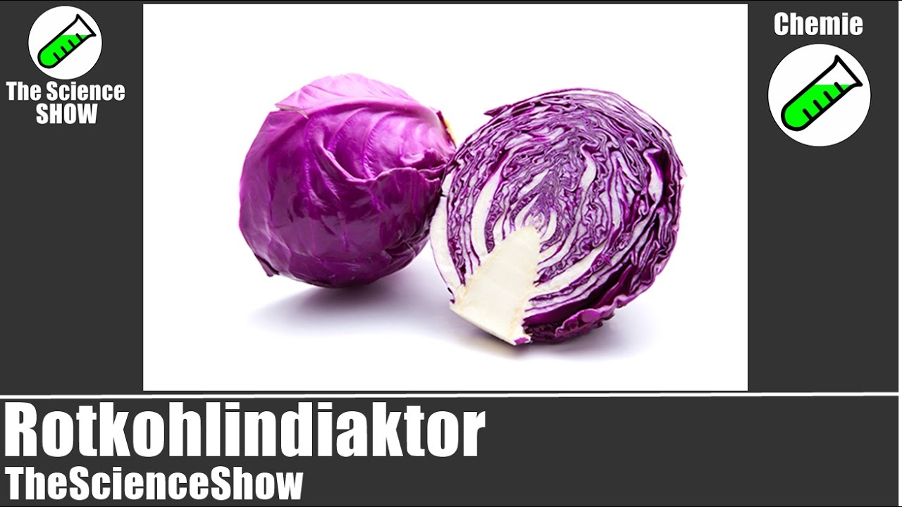 Rotkohlindikator | Cyanidin aus Rotkohl | Chemie-Experiement | TheScienceShow