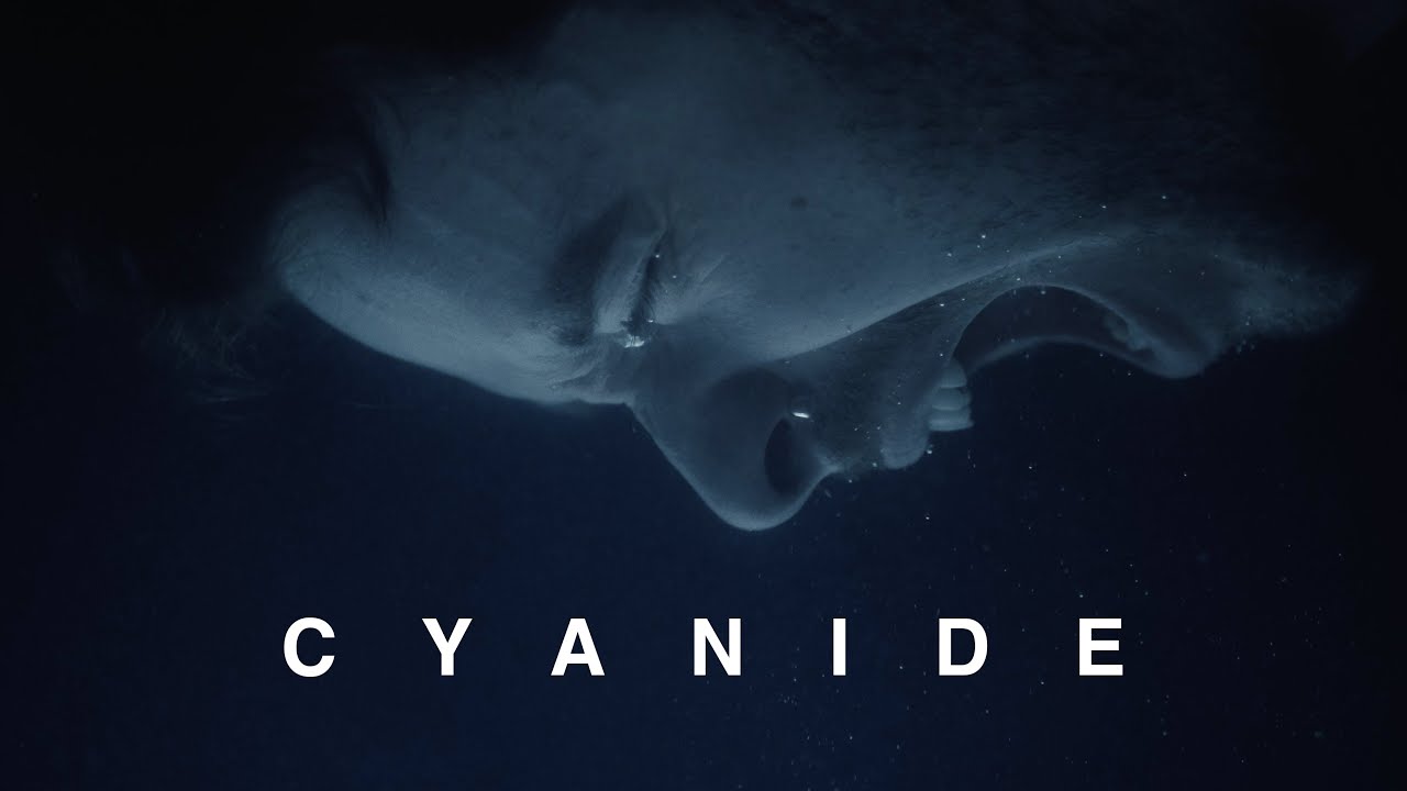Normandie - Cyanide (Official Music Video)