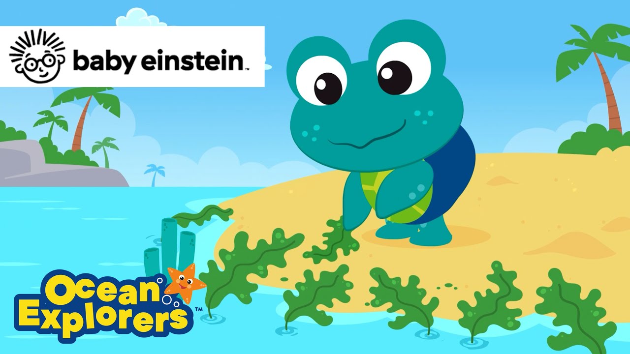 New Foods with a Sea Turtle | Ocean Explorers Song Compilation | Baby Einstein | Kids Cartoons