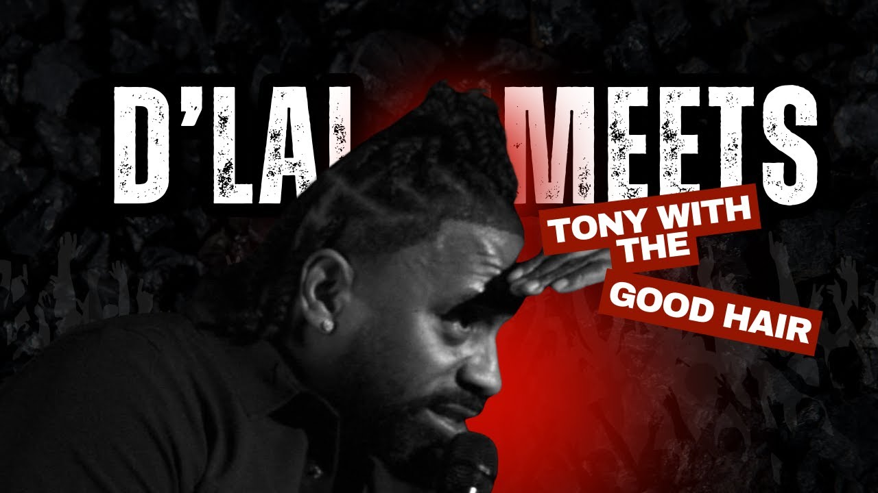 Д'Лай выступает в Чикаго в комедийном баре и знакомится с Тони, миллионером и перфекционистом в о...