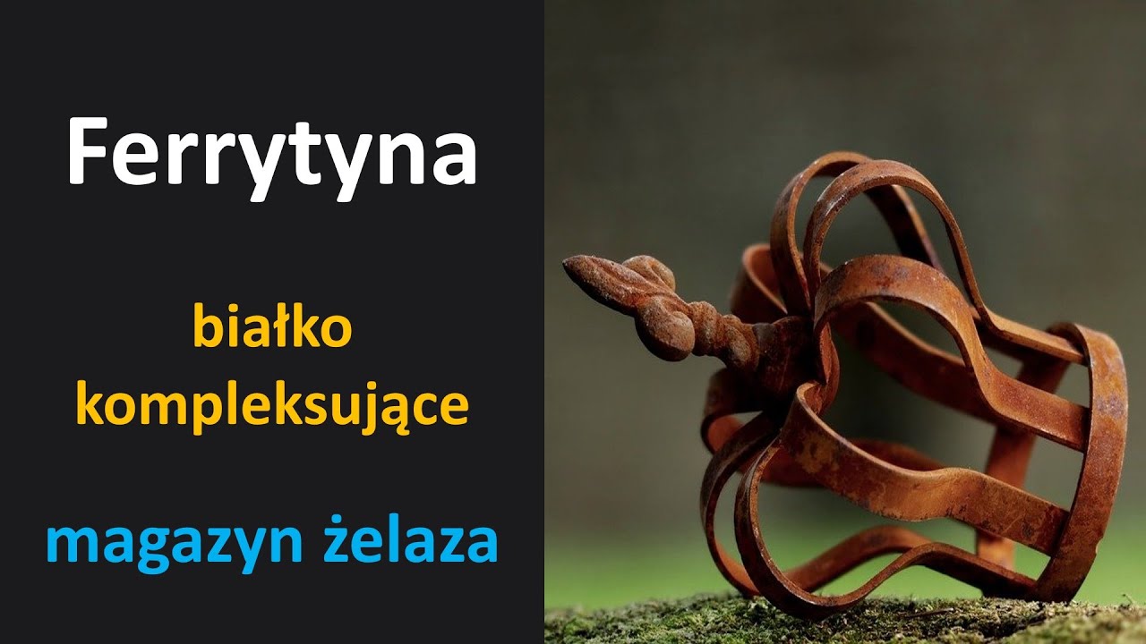 Ferrytyna - forma magazynowania żelaza