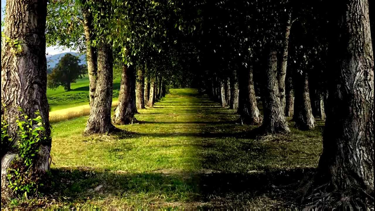 150 - The Garden (with Original News & Commercials) - CBS Radio Mystery Theater