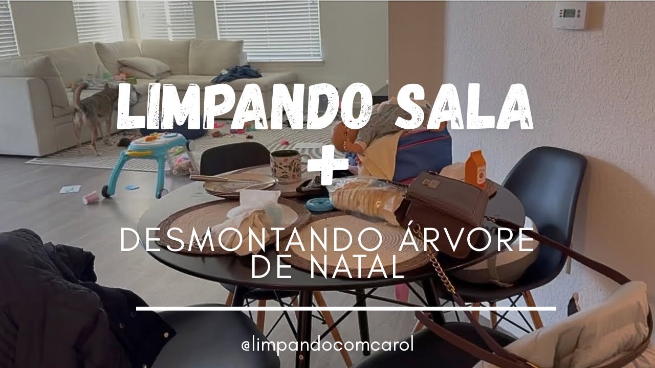 Cleaning reset: Limpeza e organização 