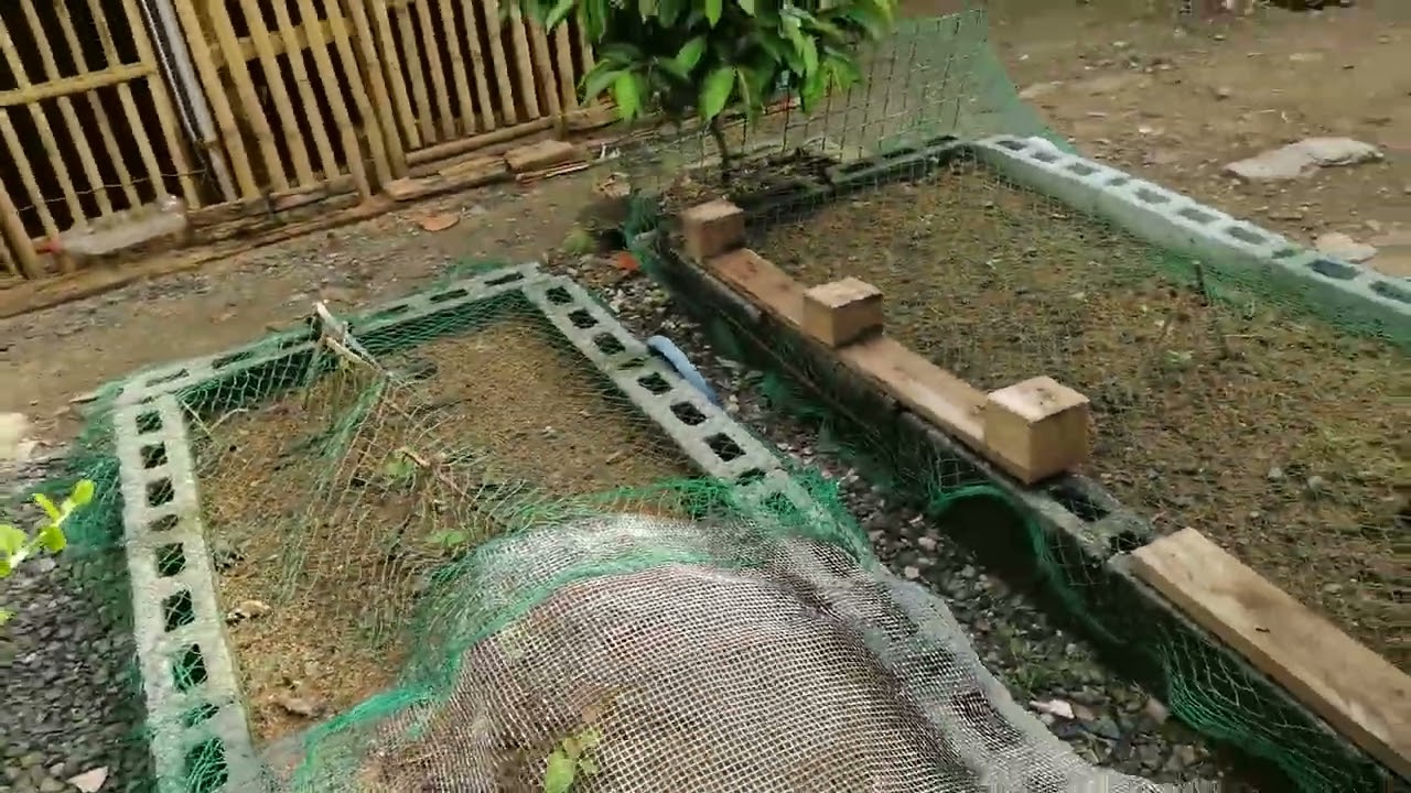 SA WAKAS NATAPOS KO RIN ANG KULUNGAN NG MANOK - 04 JULY 2024