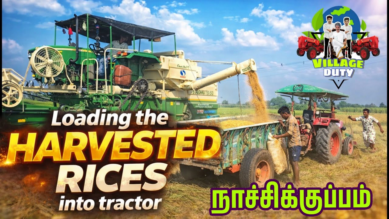 Loading Harvested Rices into Tractor| நாச்சிக்குப்பம்🚜 விவசாயி👨‍🌾 ரமேஷ் வீட்டு நெல் அறுவடை