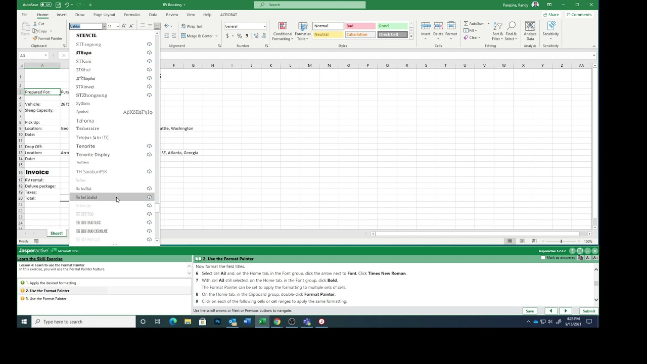 Excel Lesson 4f Clearing the Format Painter