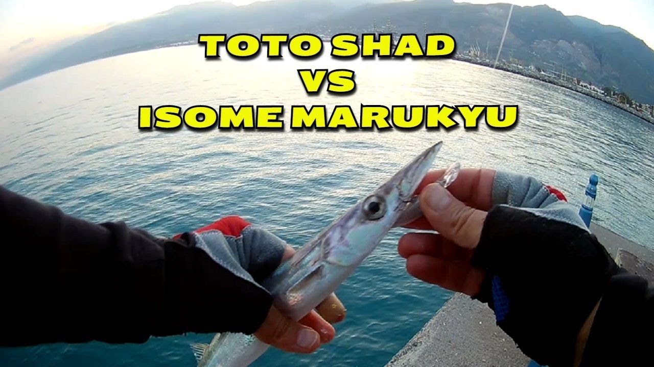 İskelede keyifli bir av günü - TOTO SHAD & ISOME MARUKYU - LRF - Light Rock Fishing - LRF TEAM