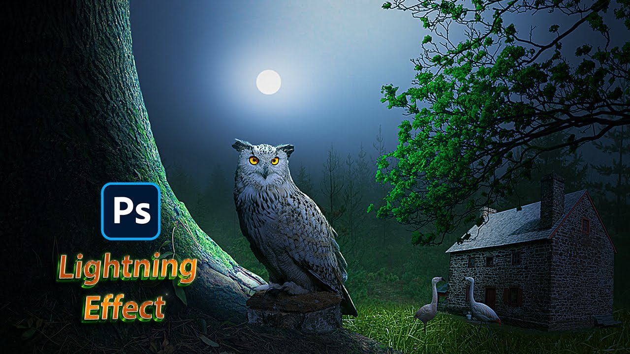 Dark Forest Fantasy Photo Manipulation - Photoshop Tutorial
