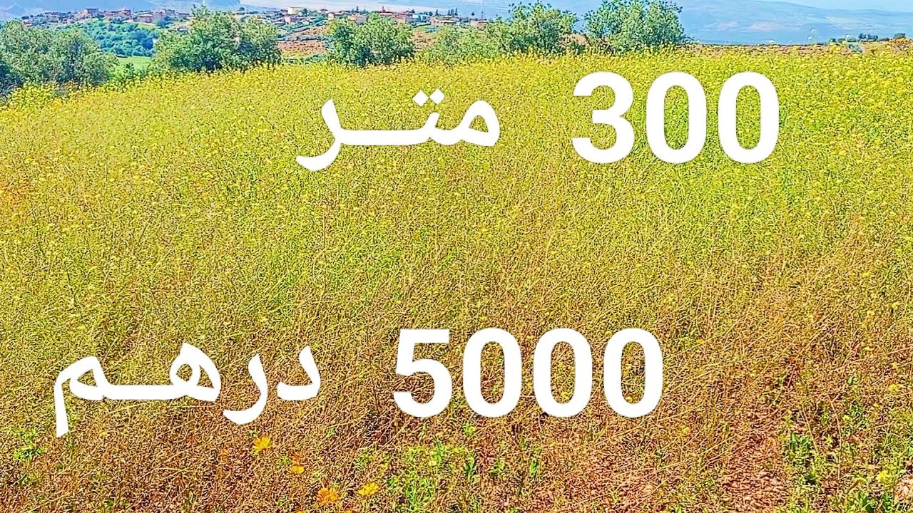 2025/04/25 : أرض ملكية عدلية مساحتها 300 متر بدوار السراغنة بثمن 5000 درهم . الهاتف : 0652902061