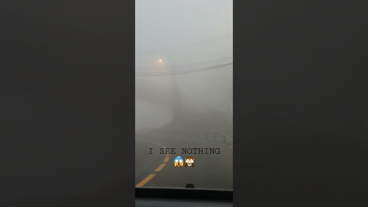 Dangerous time to drive with zero visibility  🚗🌫 #zerovisibility #driving #foggy #autumn