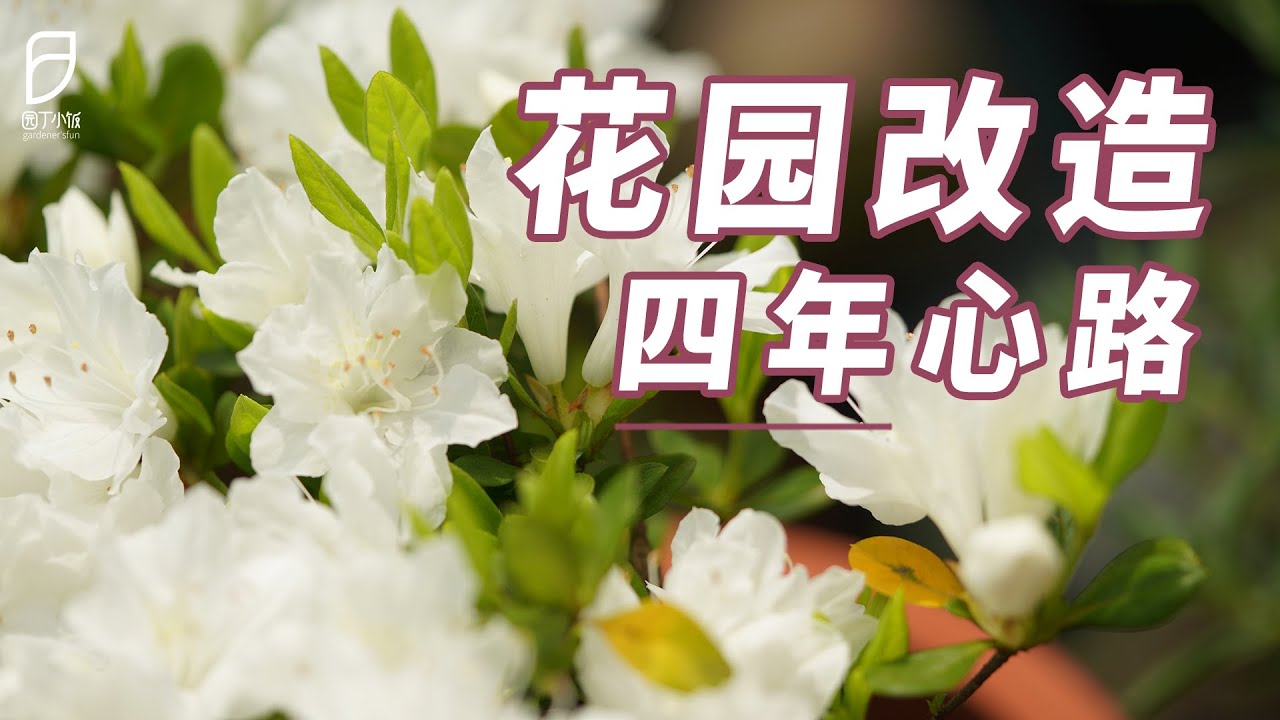 【园丁小饭】四年花园改造心路分享！把花园从想象里搬出来~