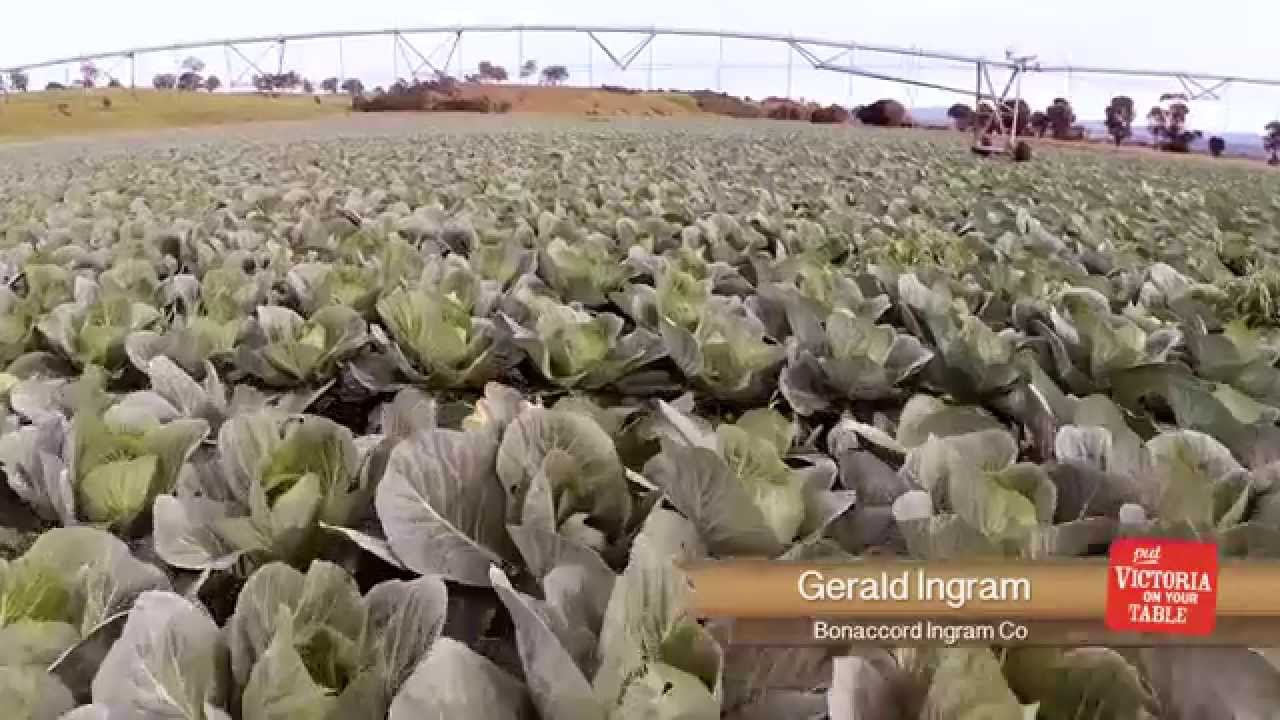 Put Victoria on Your Table: Gippsland