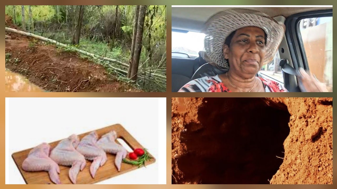 Que nojo 🫢 a carne estava fedida/ 5 tubulões furados + asinha de frango assada no meio do mato