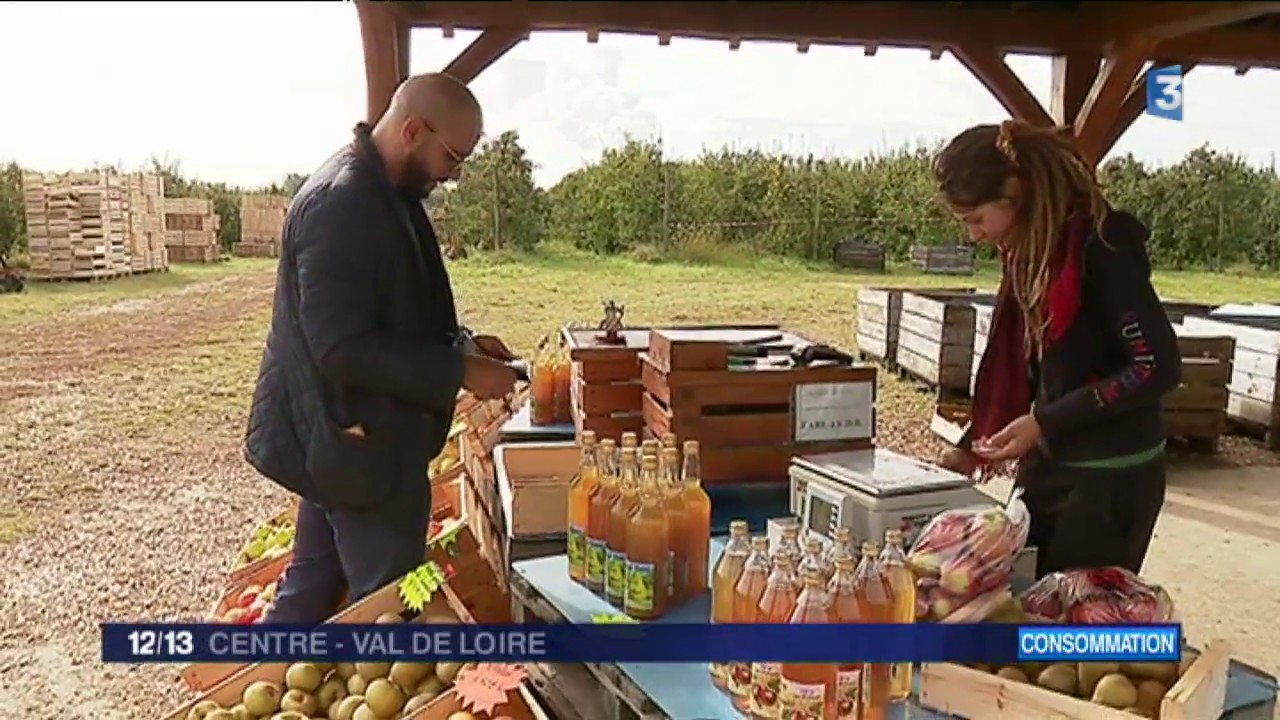 Récolte et vente directe de pommes aux particuliers