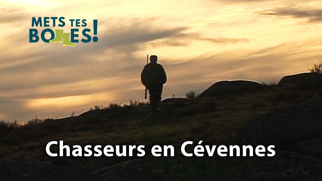 Lozère : sanglier, lièvre, bécasse, une vie de chasse