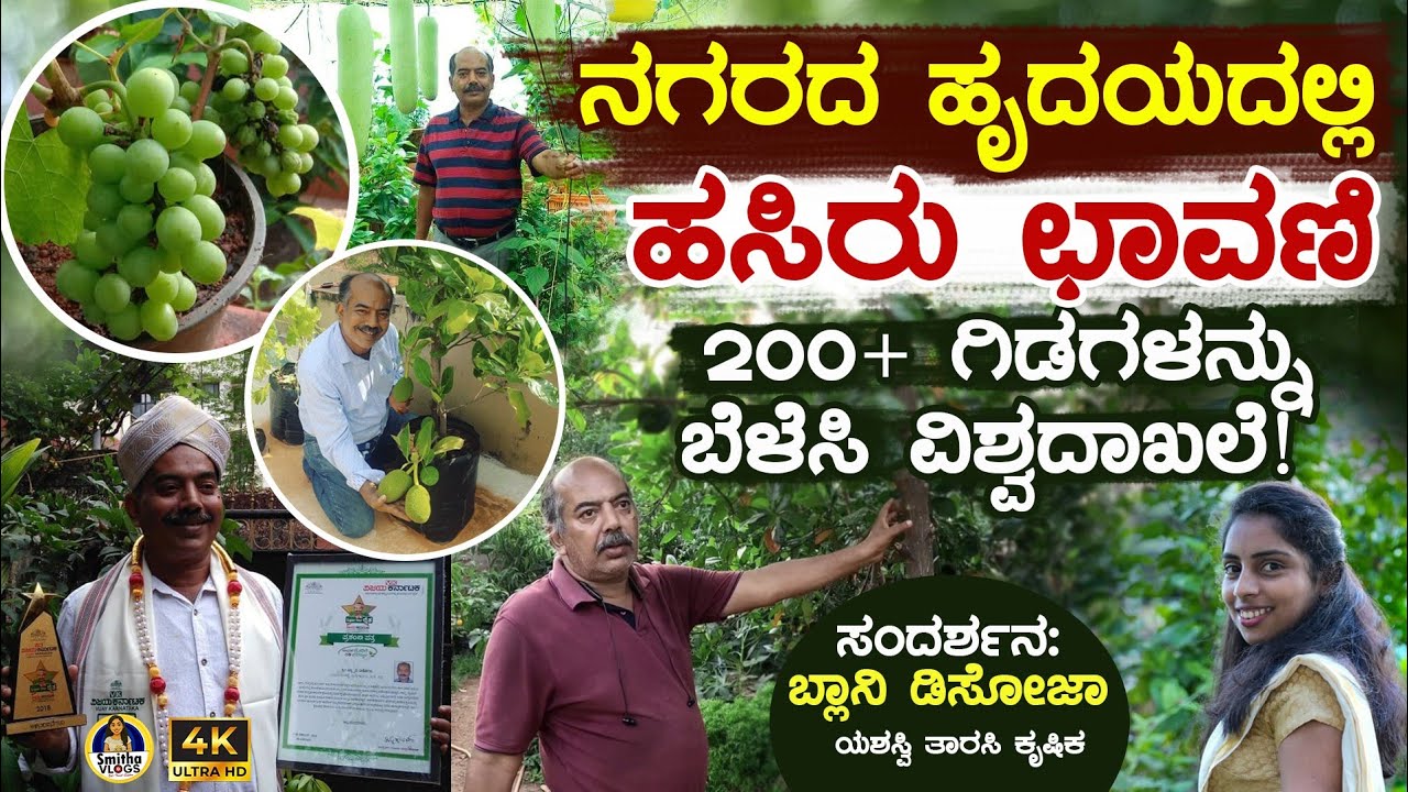 ಮಂಗಳೂರು ನಗರದ ಹೃದಯಭಾಗದಲ್ಲೊಂದು ತಾರಸಿ ತೋಟ | Green Terrace in the Heart of the City | Smithavlog