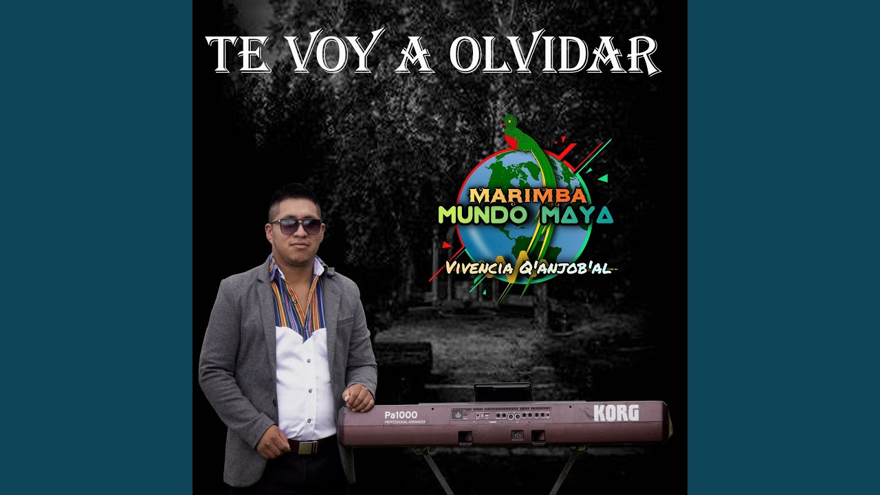 Te Voy a Olvidar