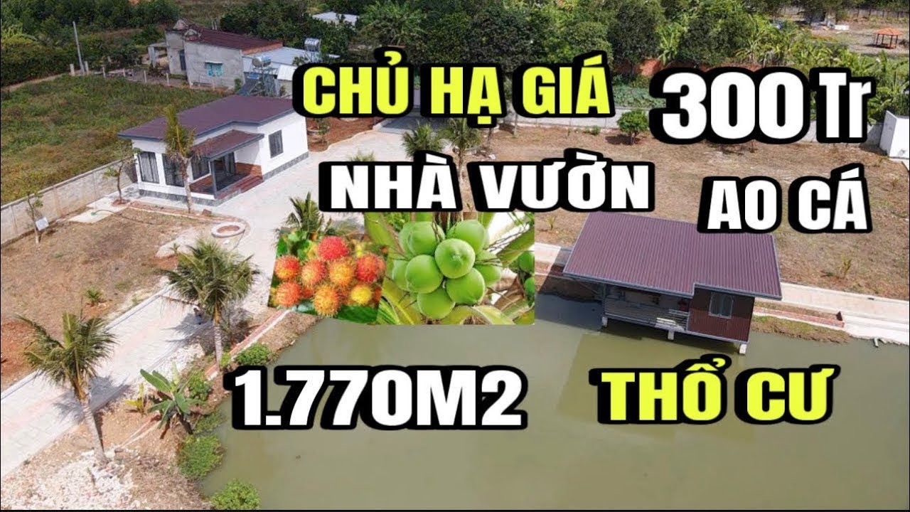 Chính chủ bán gấp, View nghỉ dưỡng, nhà vườn ao cá tường bao quanh, 1.770m2, thổ cư, Huyện cẩm Mỹ cũ