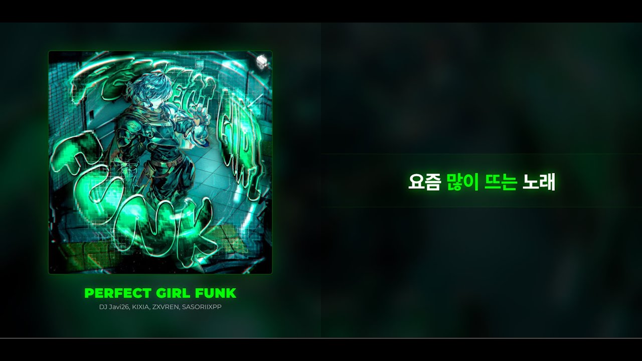 요즘 많이 뜨는 노래 I PERFECT GIRL (Funk) | Lyrics Video | 한국어 가사해석