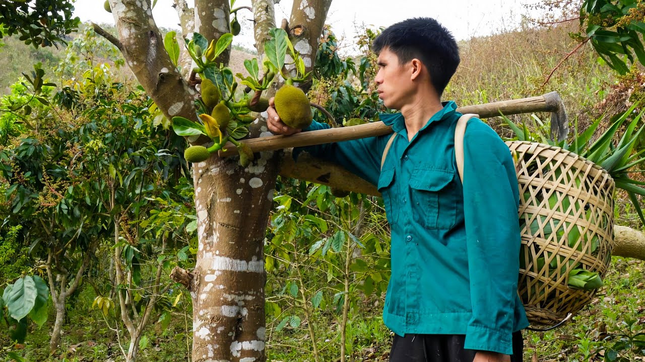 A peaceful day in the fields: Cutting grass for the cows and digging up cassava.