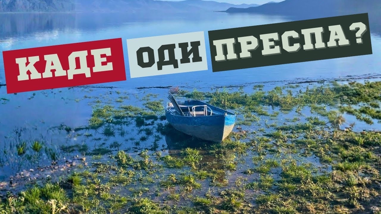 Едно езеро, три држави, ист проблем: има ли уште време за Преспа?