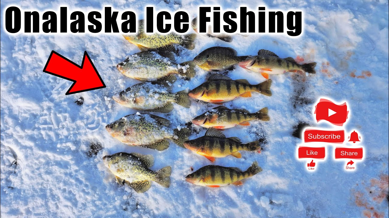 Wisconsin Ice Fishing  - Onalaska Panfishing Mississippi Backwaters (12-22-2024)