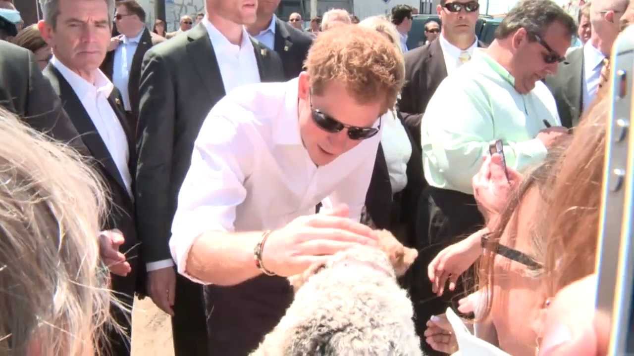 Prince Harry Greeted With Cheers and Gratitude at the Jersey Shore