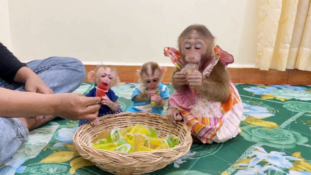 Most Delicious Jelly Fruits For Biggie Chichi & Tiny Twin Selena,Ronaldo